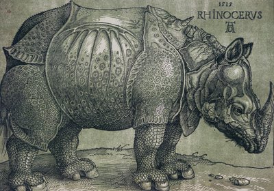 El rinoceronte, 1515 de Albrecht Dürer