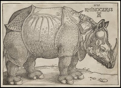 El rinoceronte, 1515 de Albrecht Dürer
