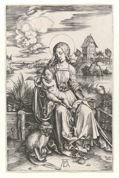 La Virgen con el mono, c.1498 de Albrecht Dürer