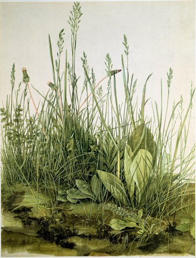 La tierra con hierbas silvestres de Albrecht Dürer