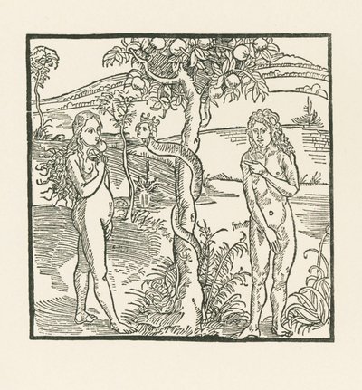 La caída. Ilustración de " Der Ritter von Turn " , c.1493-93 (xilografía) de Albrecht Dürer or Duerer
