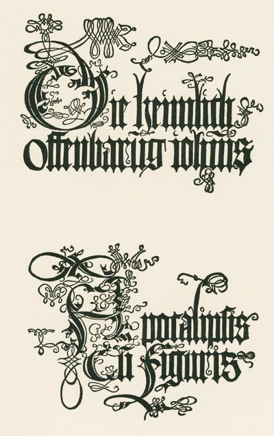 Título de la edición alemana de 1498: La Revelación Secreta de Juan ... de Albrecht Dürer or Duerer