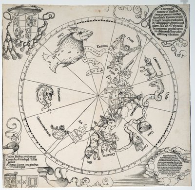 Imagen desconocida de Albrecht Dürer