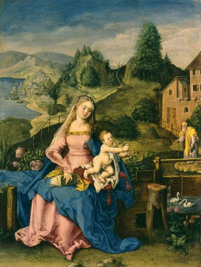 Virgen y Niño en un paisaje, c.1600 de Albrecht Dürer