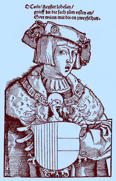 Juventud de Carlos V (1500-1558) (grabado) de Albrecht Dürer