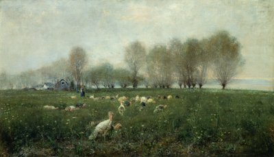 Pavos en el campo al atardecer de Alceste Campriani