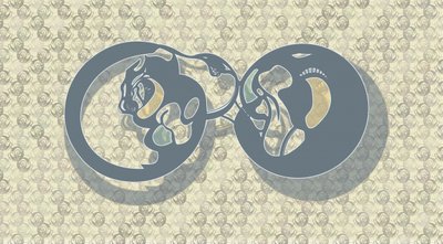 Resumen: Infinito felino de Alejandra Winkhaus