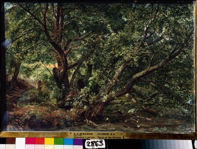 ""Los árboles del río"" Pintura de Alexander Ivanov (1806-1858) 1837 Museo Estatal Ruso, San Petersburgo de Aleksandr Andreevich Ivanov