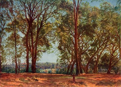 En el Parque Aricci, 1830s, 1965 de Aleksandr Ivanov