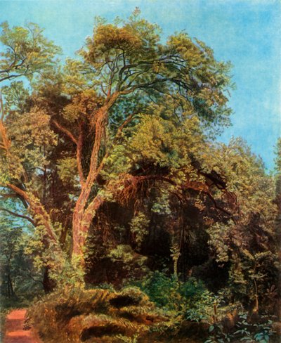 Árbol en el parque, mediados del siglo XIX, 1965 de Aleksandr Ivanov