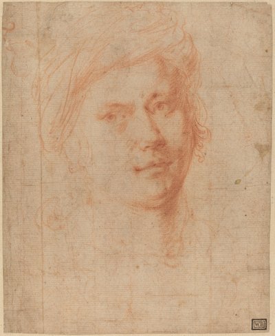 Cabeza de un joven de Alessandro Allori