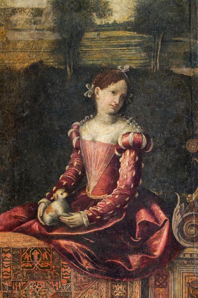 Retrato de una mujer de la nobleza, detalle de la Pequeña Sala de las Damas Nobles (óleo sobre lienzo pegado a las paredes) de Alessandro Bonvicino Moretto