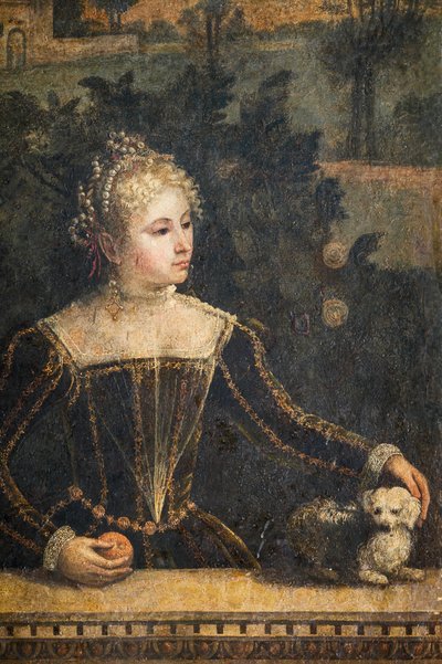 Retrato de una mujer de la nobleza, detalle de la Pequeña Sala de las Damas Nobles (óleo sobre lienzo pegado a las paredes) de Alessandro Bonvicino Moretto