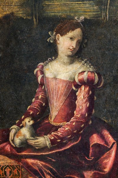 Retrato de una mujer de la nobleza, detalle de la Pequeña Sala de las Damas Nobles (óleo sobre lienzo pegado a las paredes) de Alessandro Bonvicino Moretto