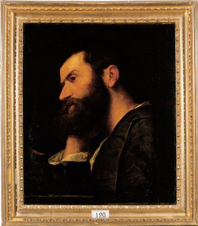 Retrato del poeta Pietro Aretino, busto, descansando su cabeza en su mano derecha junto a un borde con una planta de Alessandro Bonvicino Moretto