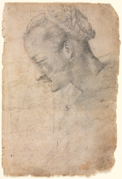 Perfil de la cabeza de una mujer (recto) de Alessandro Casolani