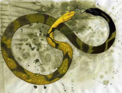Criatura fabulosa: representación de una Amphisbene, serpiente con dos cabezas. Dibujo de Alessandro Lonati de Alessandro Lonati