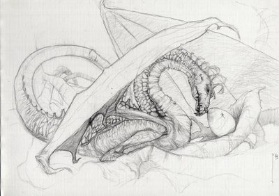 Criatura fantástica: un dragón protegiendo su huevo. Dibujo a lápiz de Alessandro Lonati de Alessandro Lonati