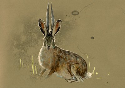 Monstruos y criaturas fantásticas, criptozoología: representación de un Jackalope, animal legendario mi liebre mi antílope (animal mítico un jackrabbit con cuernos de antílope) - Dibujo de Alessandro Lonati, 2012. de Alessandro Lonati