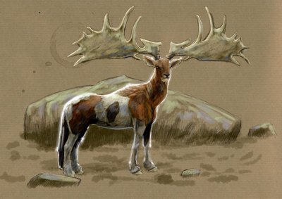 Monstruos y criaturas fantásticas, criptozoología: representación de un hipocampo - Dibujo de Alessandro Lonati, 2012 de Alessandro Lonati