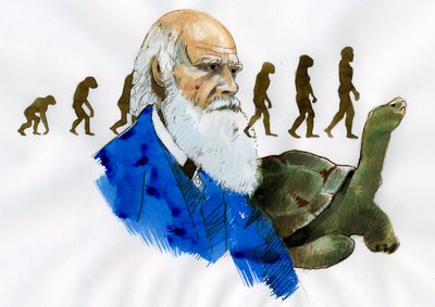 Retrato de Charles Darwin - Retrato del naturalista inglés Charles Darwin (1809-1882) Ilustración de Alessandro Lonati