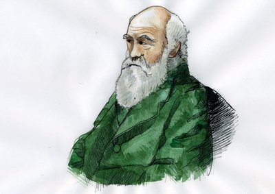 Retrato de Charles Darwin - Retrato del naturalista inglés Charles Darwin (1809-1882) Ilustración de Alessandro Lonati