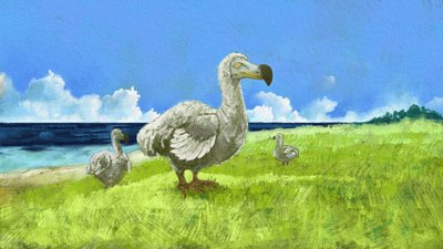Representación del ave extinta dodo (ilustración) de Alessandro Lonati