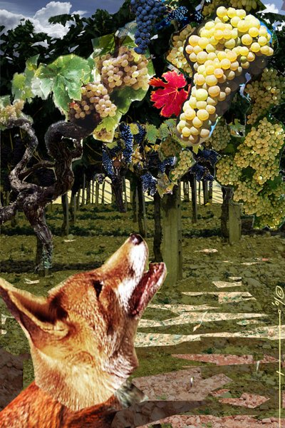 La zorra y las uvas Ilustración de la fábula de Esope (siglos VII-VI a.C.) escritor griego. Ilustración de Alesandro Lonati. 2010 de Alessandro Lonati
