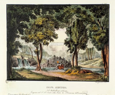 El bosque de la Sibila Albunea Escenografía para la ópera 