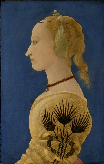 Retrato de una dama vestida de amarillo, c.1465 (panel) de Alessio Baldovinetti