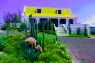 Casa de muñecas, 2019 de Alex Caminker