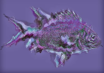 Peces en el Agua, 2020 de Alex Caminker