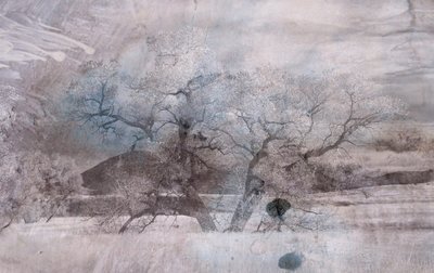 niebla azul, 2019 de Alex Caminker