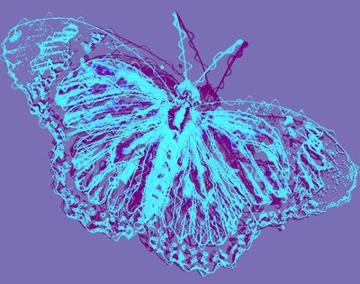 Mariposa de Alex Caminker