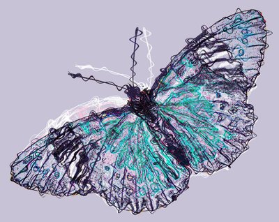Mariposa 7 de Alex Caminker