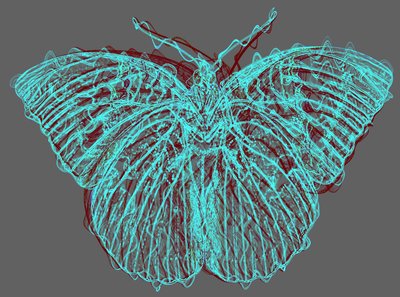 Mariposa 8, 2020 de Alex Caminker