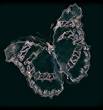 Mariposa II, 2020 de Alex Caminker