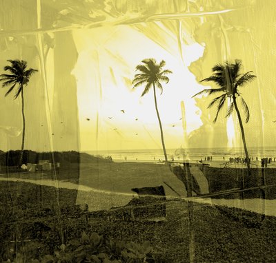 Niebla clara, 2019 de Alex Caminker