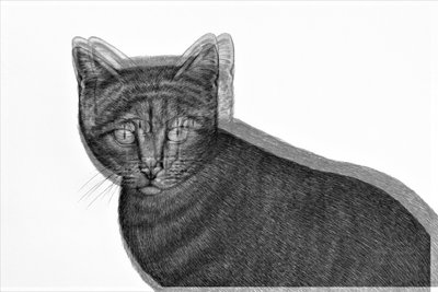 Gato eléctrico de Alex Caminker