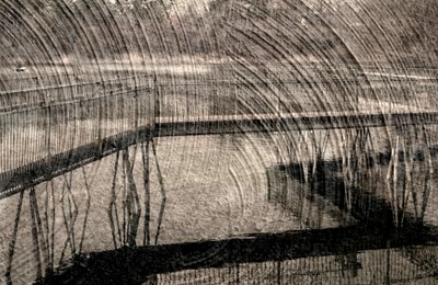 invisible, 2019 de Alex Caminker