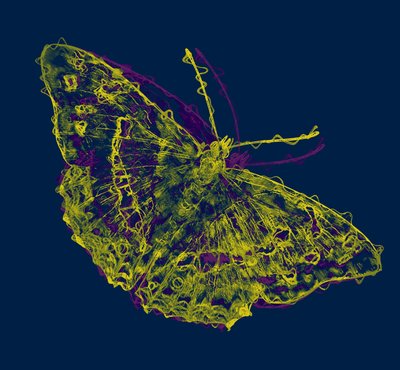 Mariposa amarilla de Alex Caminker
