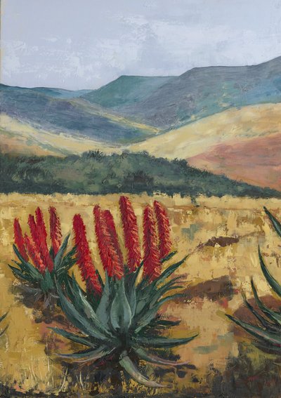 Aloe rojo en la ladera de Alex Cornell
