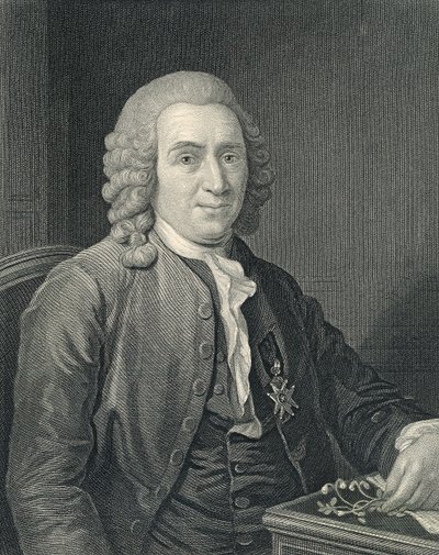 Retrato de Carolus Linnaeus de Alexander (after) Roslin