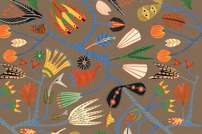 Hoja de Alexander Adiels