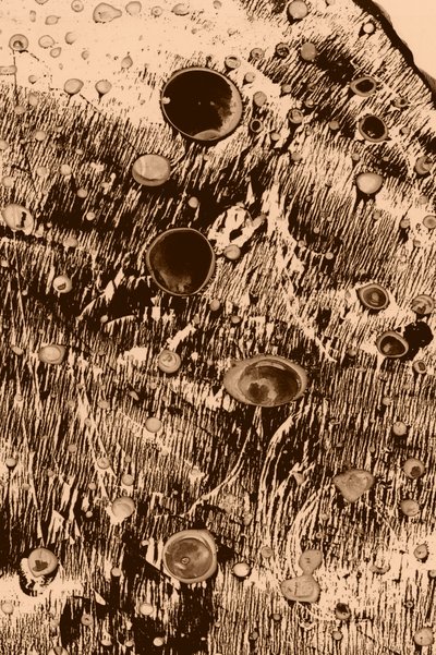 Oxígeno de Alexander Adiels