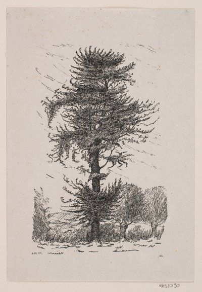 Roble en Guldberg de Alexander Blom