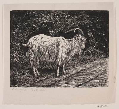 Un macho cabrío de Alexander Blom