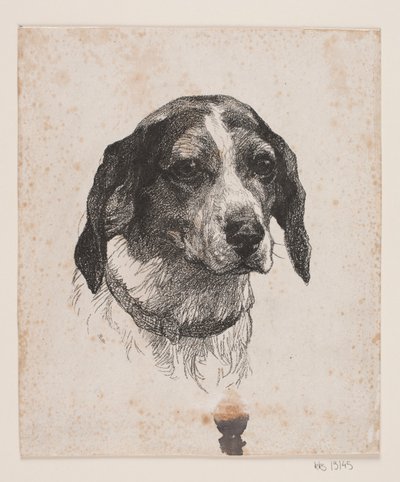 Cabeza de perro de Alexander Blom