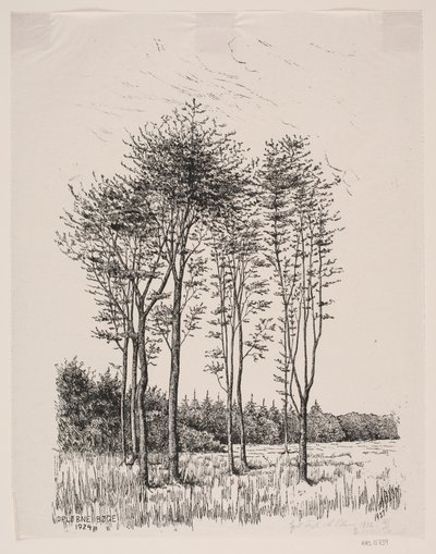 Haya en crecimiento de Alexander Blom