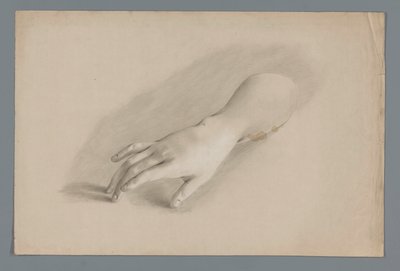 Modelo de yeso de una mano de Alexander Cranendoncq